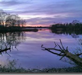 Wye Island-winter Photo