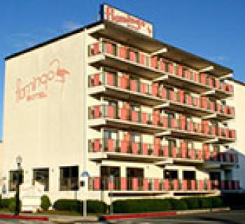 Flamingo Motel exterior view Photo