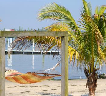 Hammock at the Oceanic Motel Photo