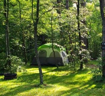 Bumble Bee RV Park & Campground Photo