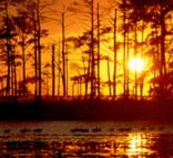 Eastern Shore Photo