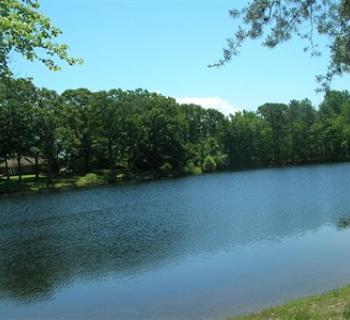 The lake at Take It Easy Campground Photo