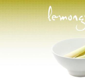 Lemongrass logo Photo