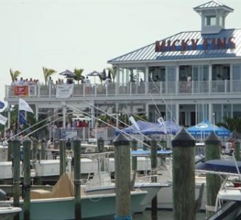 Micky Fins exterior view Photo