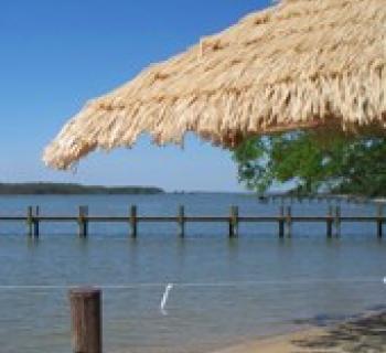 Palm Beach Willie's Restaurant, Bar & Grill Photo