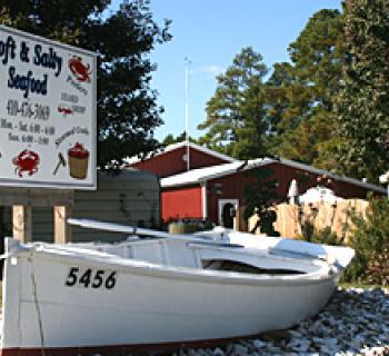 Soft & Salty Seafood Photo