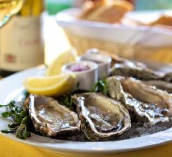 Oysters platter Photo