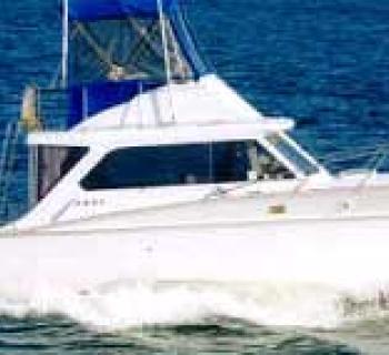 Charter boat Photo