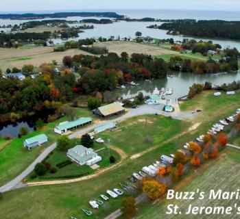 Buzz's Marina aerial view Photo