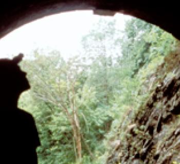Paw Paw Tunnel photo Photo