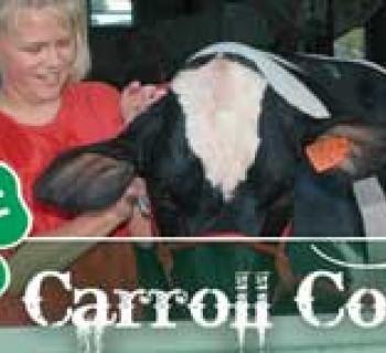 4-H & FFA Fair Photo