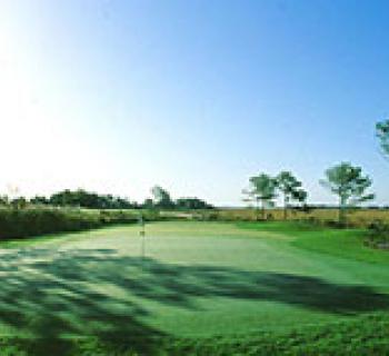 Eagle's Landing Golf Course Photo