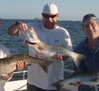 Photo of three man with big fish Photo