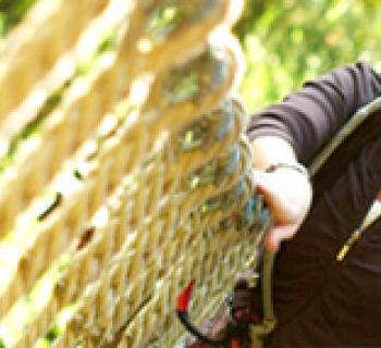 Go Ape Treetop Adventure Photo