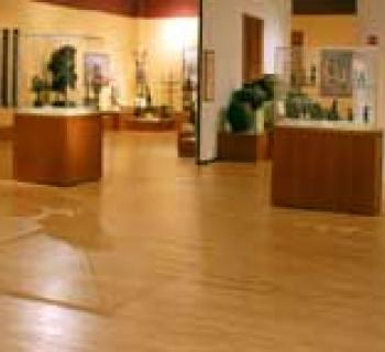 Museum interior Photo