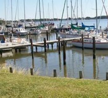 Long Cove Marina Photo