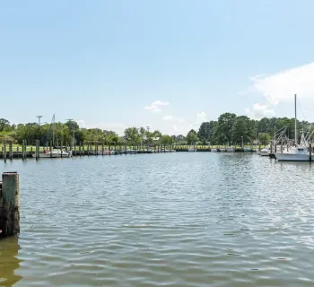 Nanticoke Harbor Marina Photo