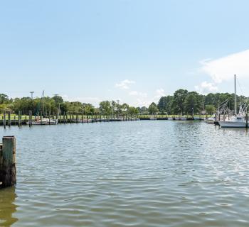 Nanticoke Harbor Marina Photo