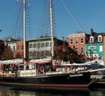 Waterfront neighborhood Photo