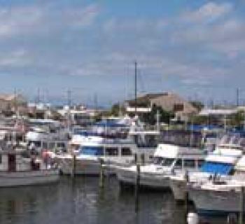 Somers Cove Marina Photo