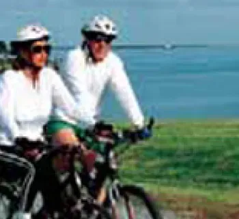 Bicyclists Photo