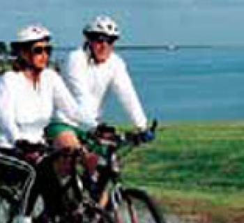Bicyclists Photo