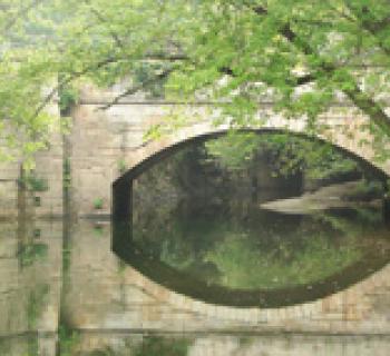 The Bridges of Washington County Photo