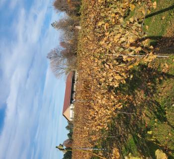 PennOaksWinery with vineyard view Photo