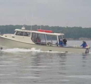 The Bay Hunter Charter Boat on the Bay. Photo