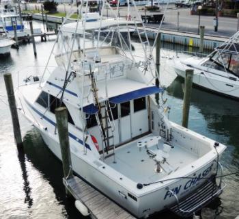 Picture of the "Fin Chaser" Photo