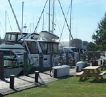 Yachts at the Marina Photo