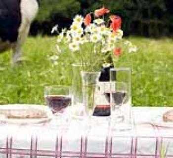 Table set in a pasture Photo