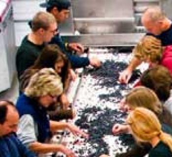 Workers at Winery Photo