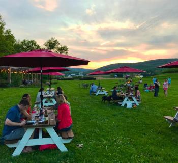 Catoctin Breeze Vineyard Photo