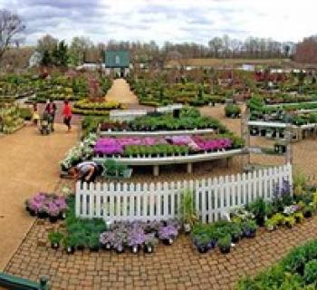 Outdoor shopping area of Homestead Gardens. Photo