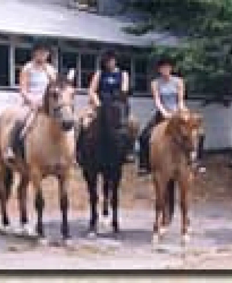 Horse riding at horse farm Photo