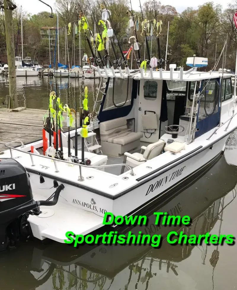 Down Time sportsfishing Charters Photo