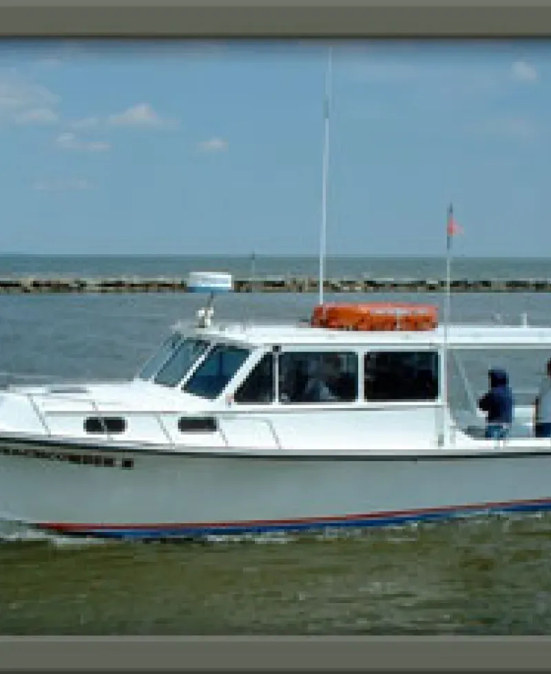 "Beachcomber II" Photo