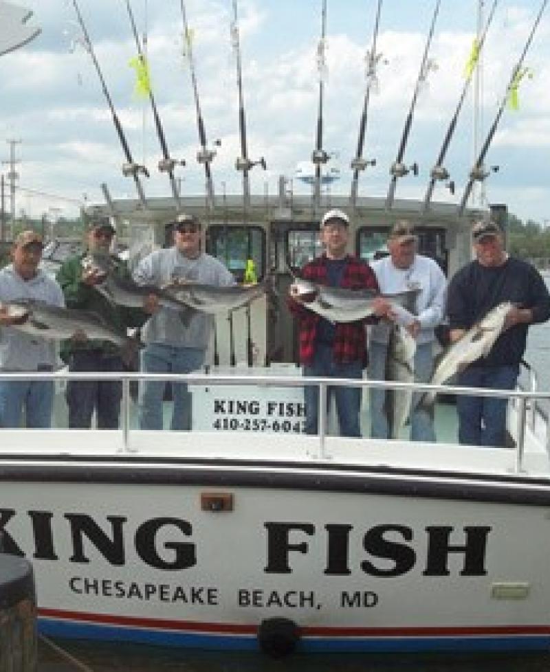 King Fish Photo