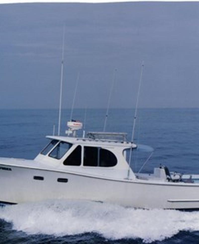 "Fish Finder" Photo