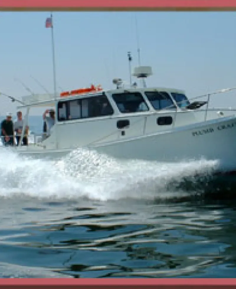 Plumb Crazy Charters Photo