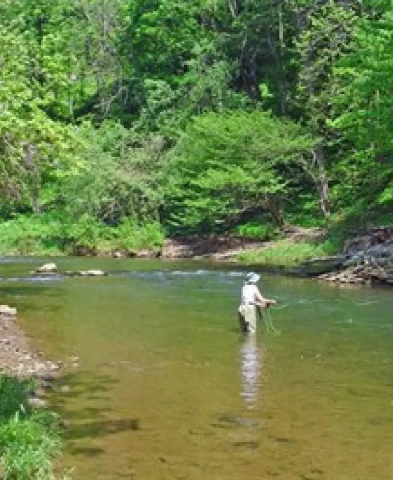 Spring Creek Outfitters Photo