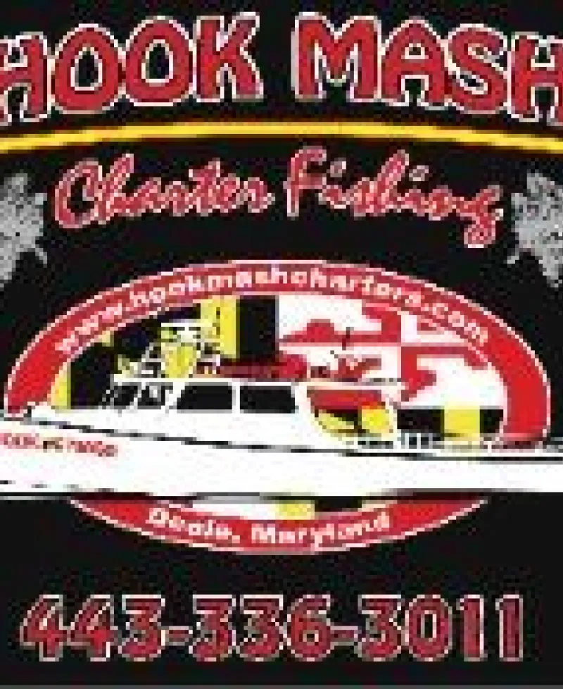 Hook Mash Logo Photo