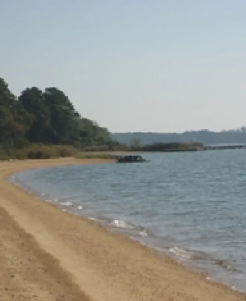 Newtowne Neck State Park Photo
