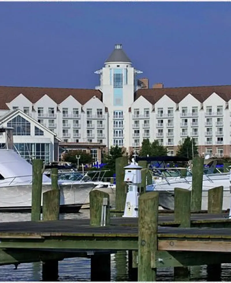 River Marsh Marina at the Hyatt Regency Photo