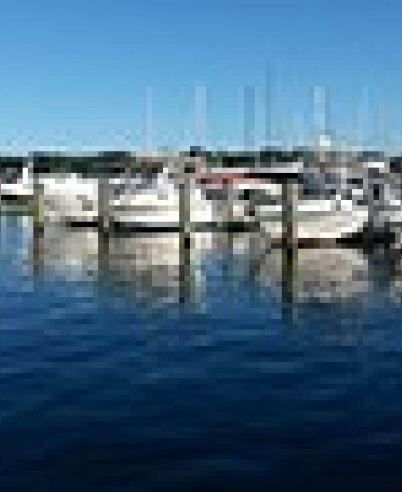 Boat Slips at Ventnor Marina. Photo