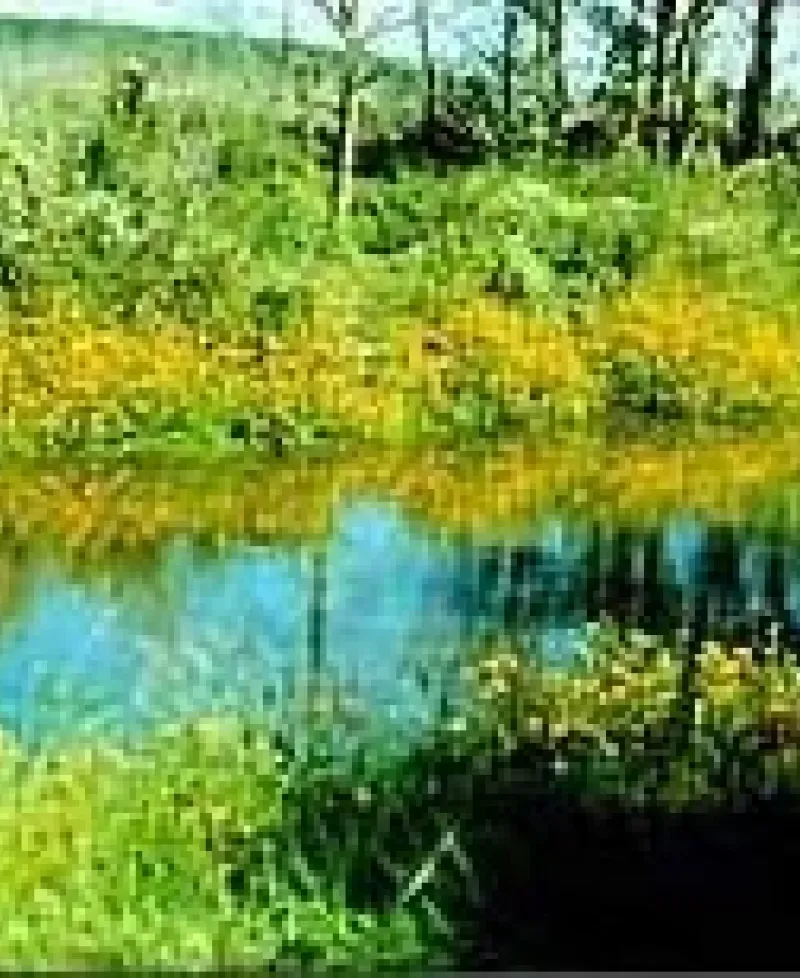 Idylwild Wildlife Management Area Photo