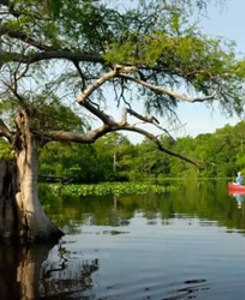 Nassawango Creek Preserve Photo