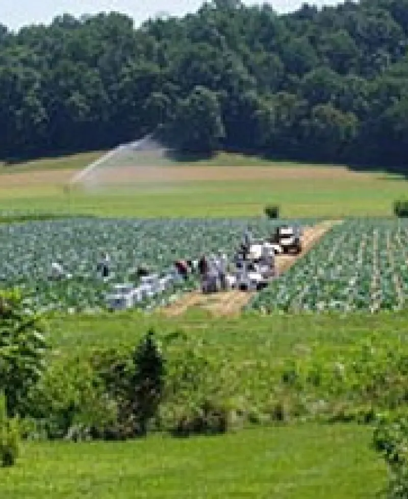 Richardson Farms-White Marsh Photo
