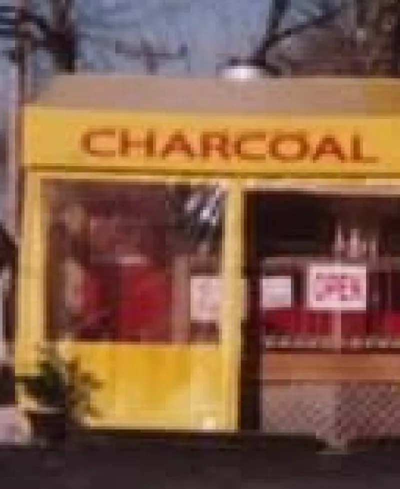 Charcoal Style Pit Beef Photo